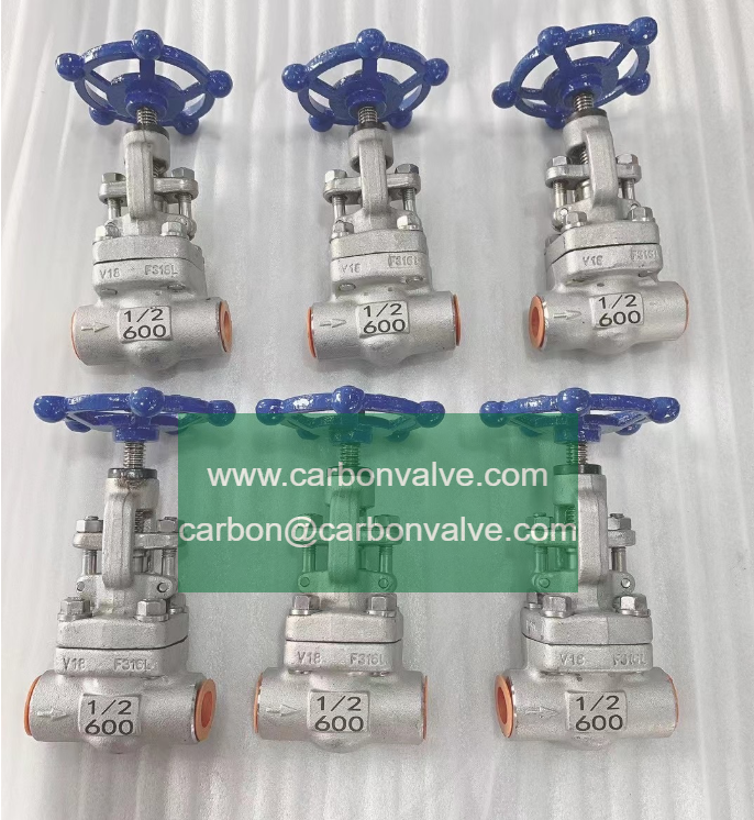 A182 F316L Gate Valve A182 F316L Gate Valve